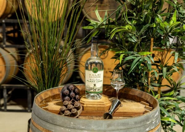 Cane Farmer - Plant Cane